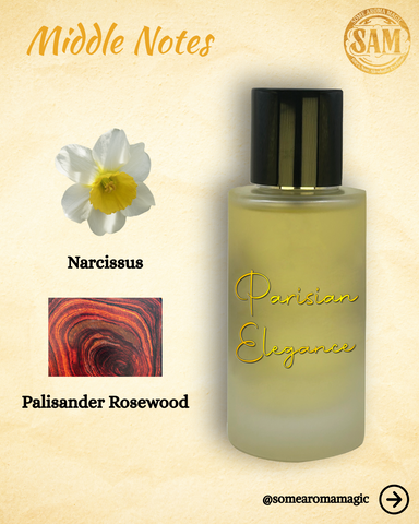 Some Aroma Magic Parisian Elegance Men's Alcohol-Free Perfume, Vegan, Cruelty Free