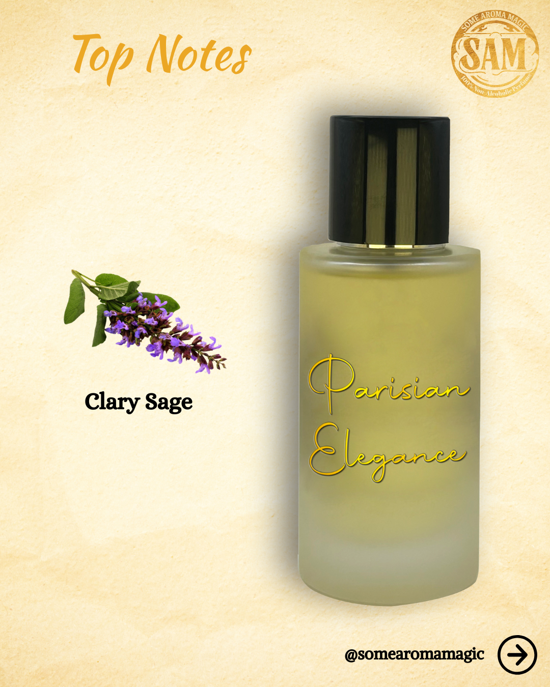 Some Aroma Magic Parisian Elegance Men's Alcohol-Free Perfume, Vegan, Cruelty Free