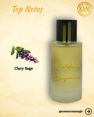 Some Aroma Magic Parisian Elegance Men's Alcohol-Free Perfume, Vegan, Cruelty Free
